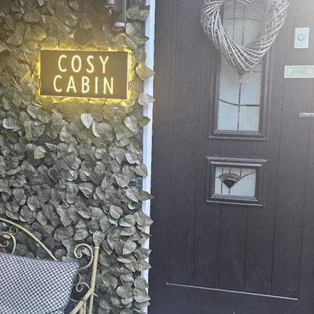 Belfast Cosy Cabin מראה חיצוני תמונה