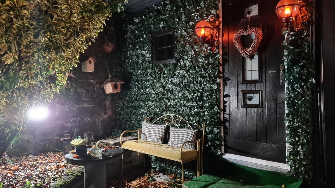 Belfast Cosy Cabin מראה חיצוני תמונה
